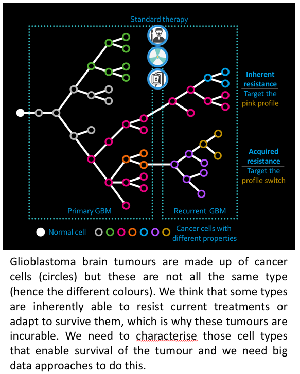 A graphic showing different cellular gene variation in glioblastoma cell between recurrent and primary GBM.